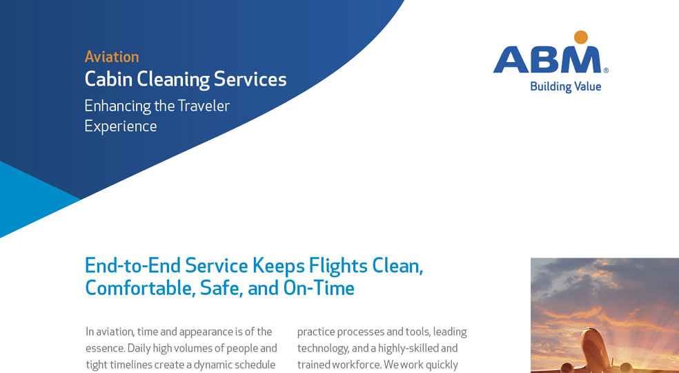 Cabin Cleaning Services